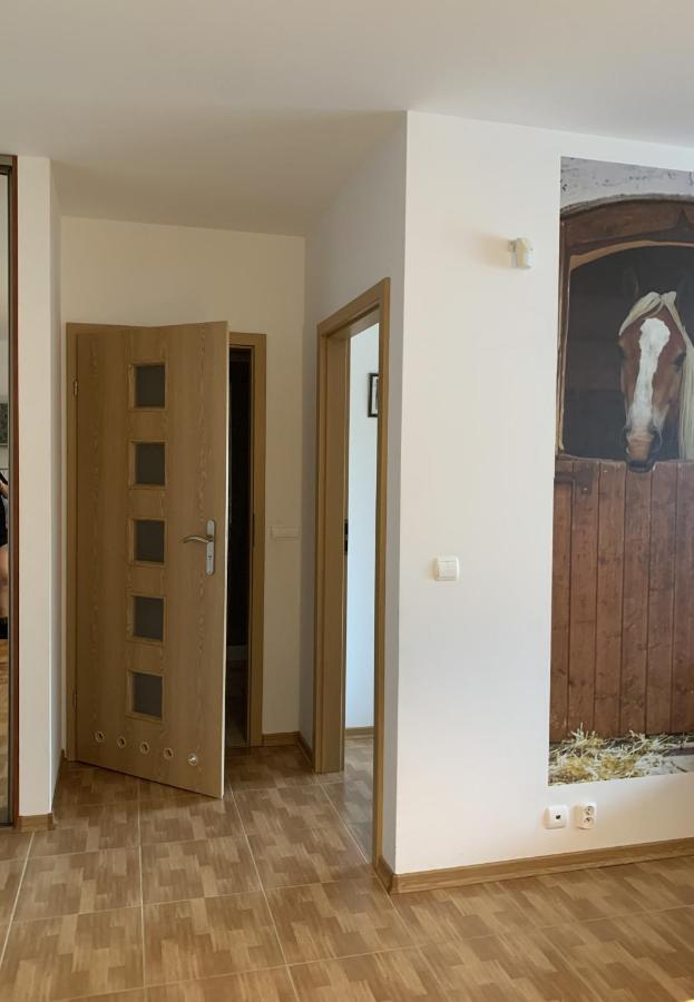 Zawsze Sloneczny Apartament Grzybowo Grzybowo (West Pomeranian) Exterior foto